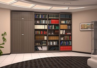Книжный шкаф в гостиную