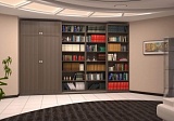 Книжный шкаф в гостиную